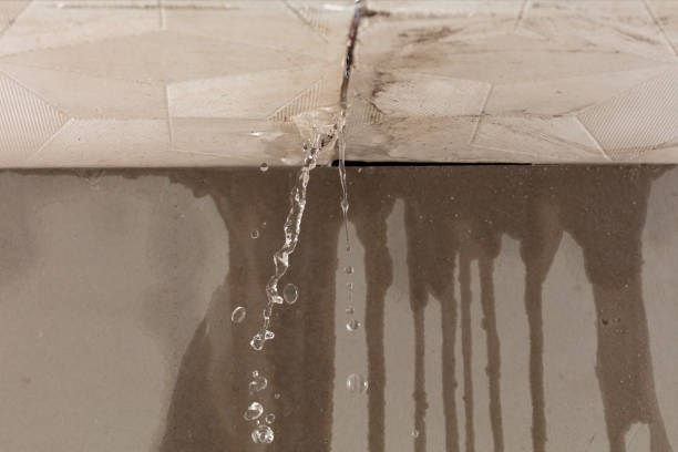 Professional Sewage Cleanup technician working in Waterloo, NE